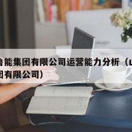 山东鲁能集团有限公司运营能力分析（山东鲁能集团有限公司）